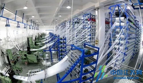 小工廠里的大作為——記高港區(qū)黨外代表人士王宏貴與他的軟件開發(fā)之路